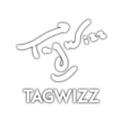 Tagwizz, Design and development of video games